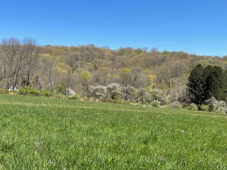 55 Ranney Hill Road Photo 5