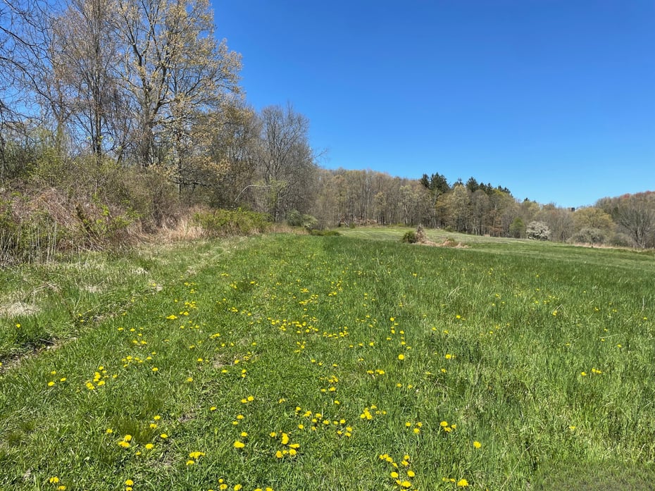 55 Ranney Hill Road Photo 6