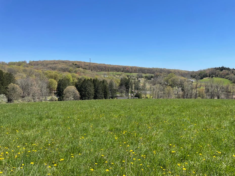 55 Ranney Hill Road Photo 10