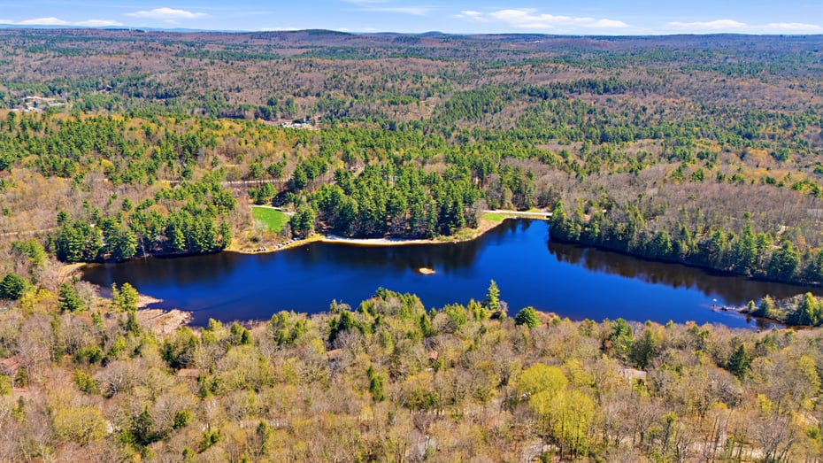 311 Tamarack Trail Photo 26