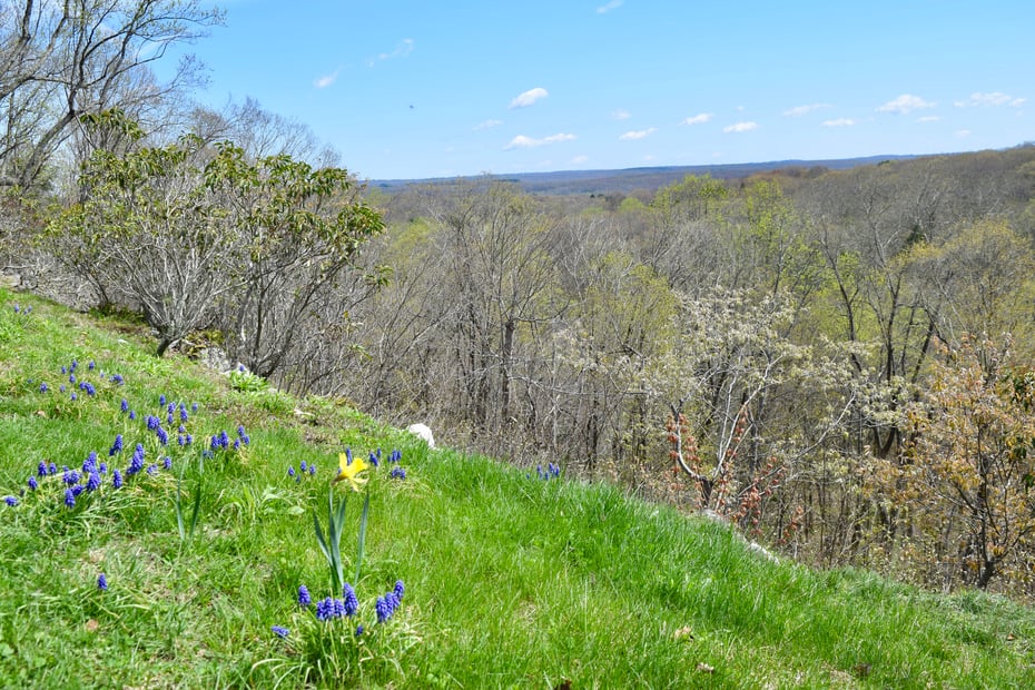 56 Goldmine Road Photo 36