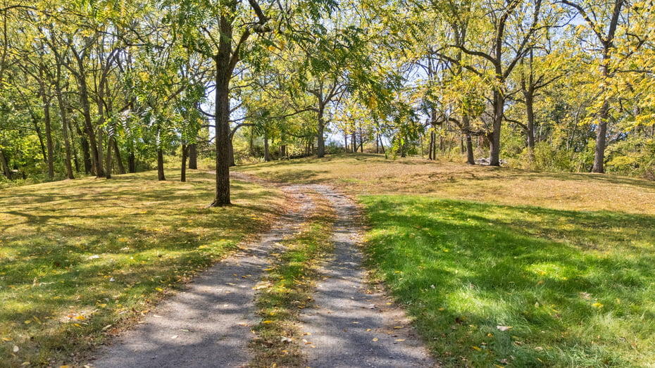 4317 Ny-23 Photo 10