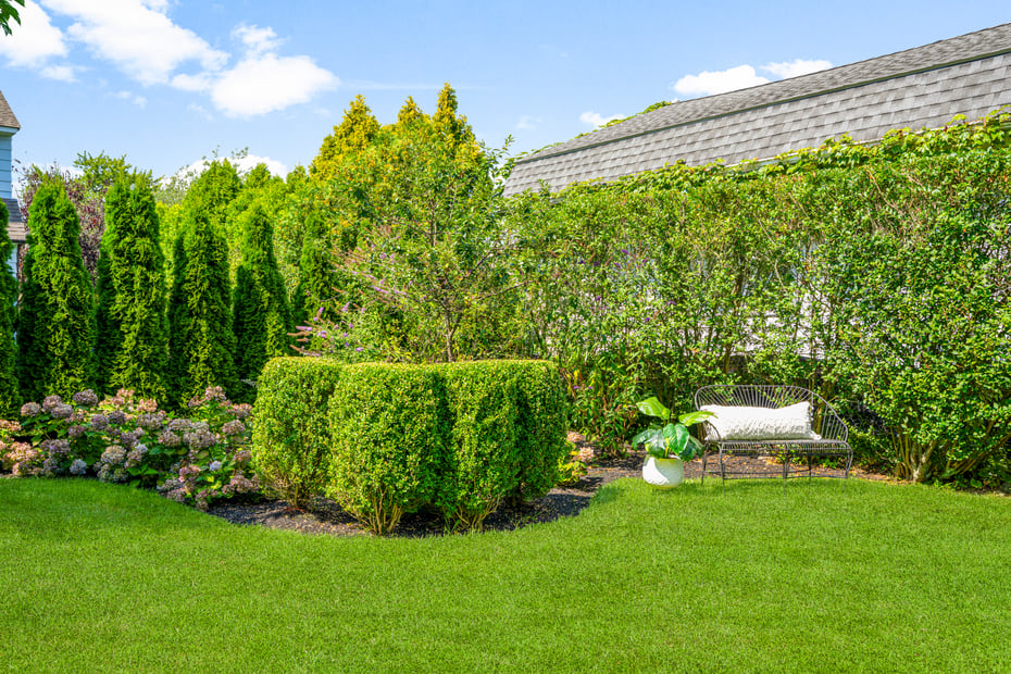 6 Linden Avenue Photo 32