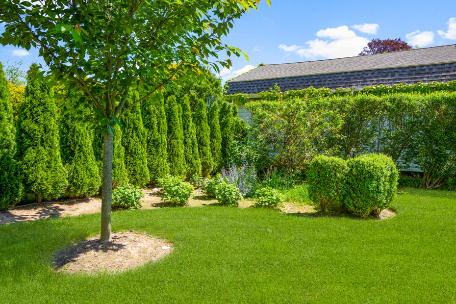 6 Linden Avenue Photo 40