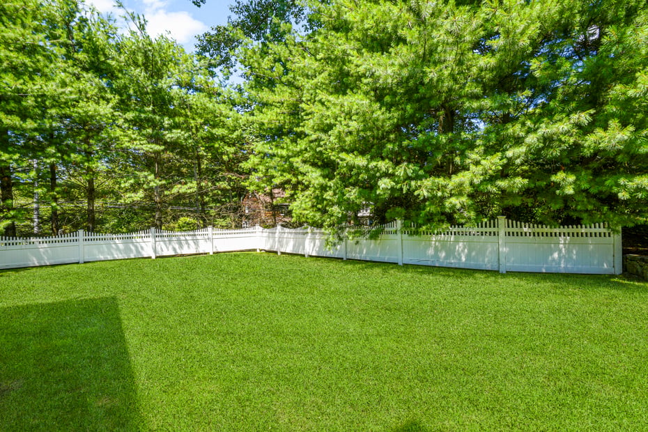 9 Daymon Terrace Photo 32