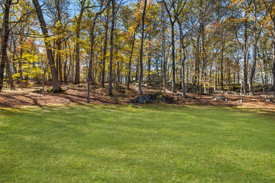 158 Mead Street Photo 26