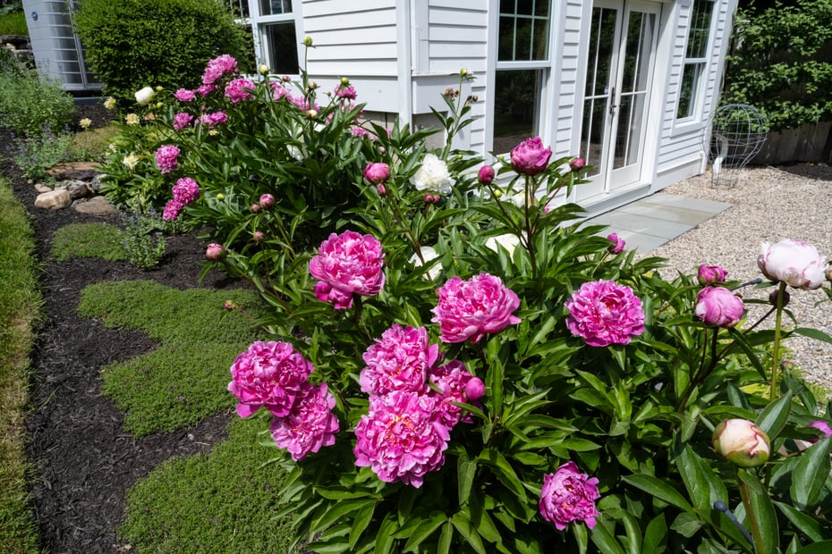47 Burdick Road Photo 35