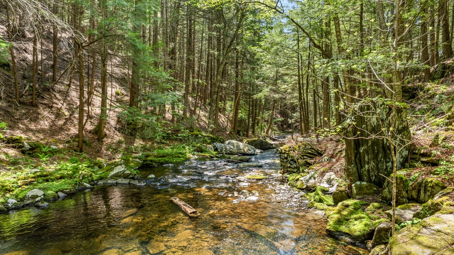 58 River Rd Photo 44