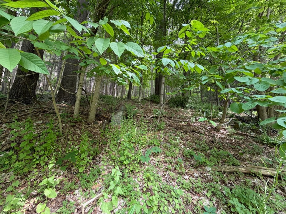 48 Lower River Road Photo 24