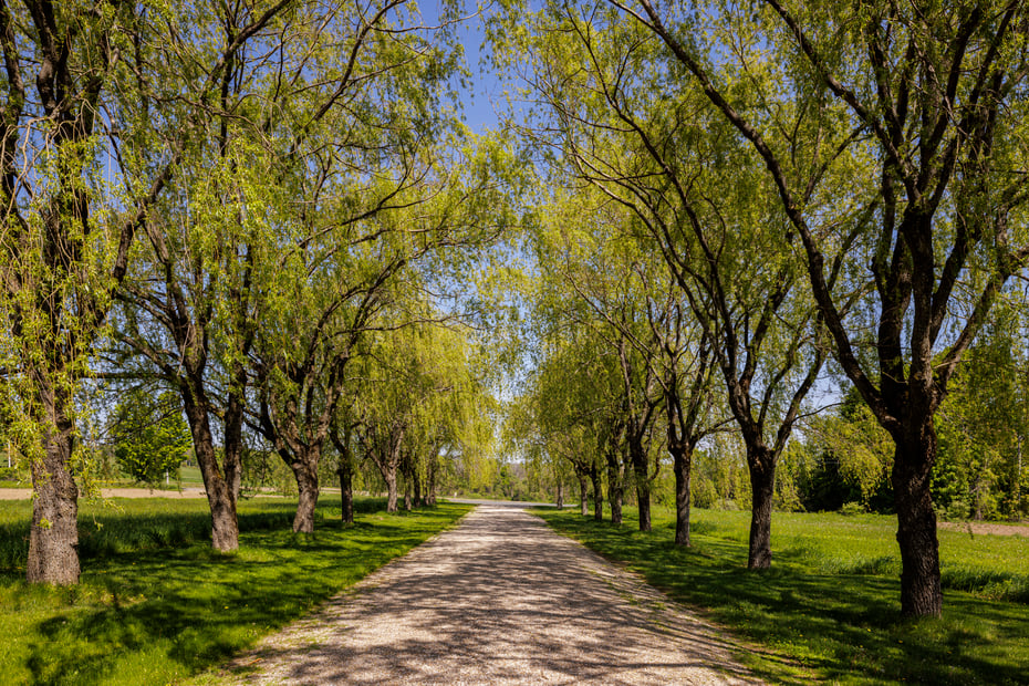 25 Baldwin Hill Rd Photo 39