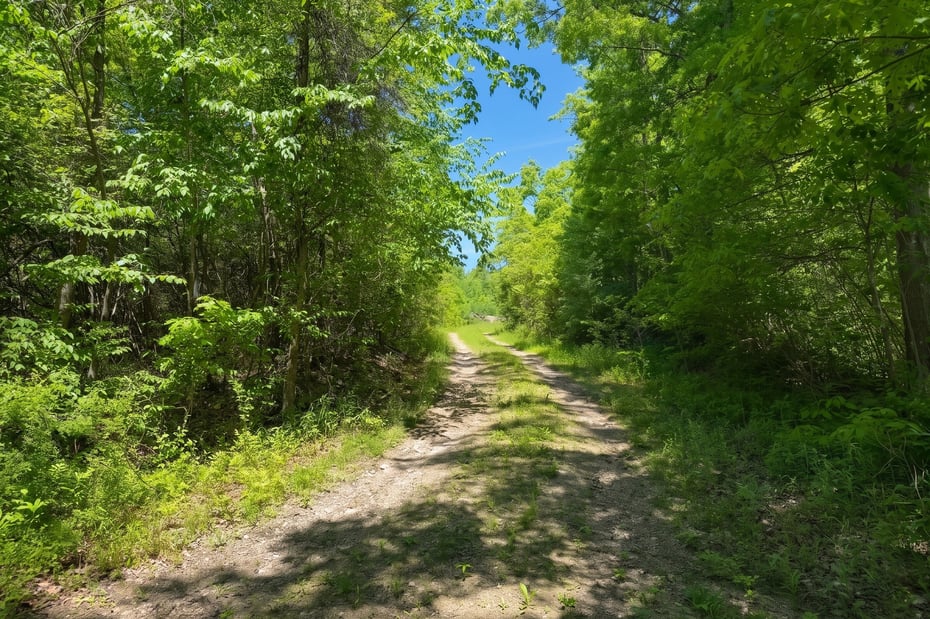 Swaller Hill Road Photo 7