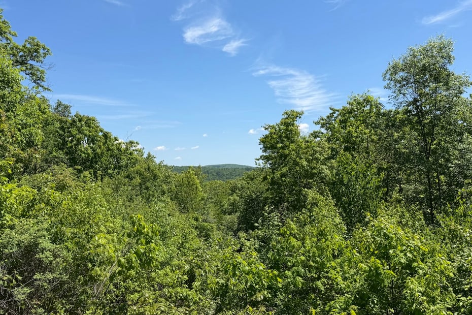 Swaller Hill Road Photo 2