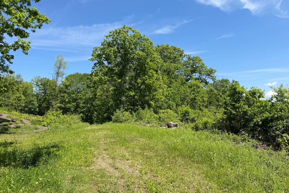 Swaller Hill Road Photo 10