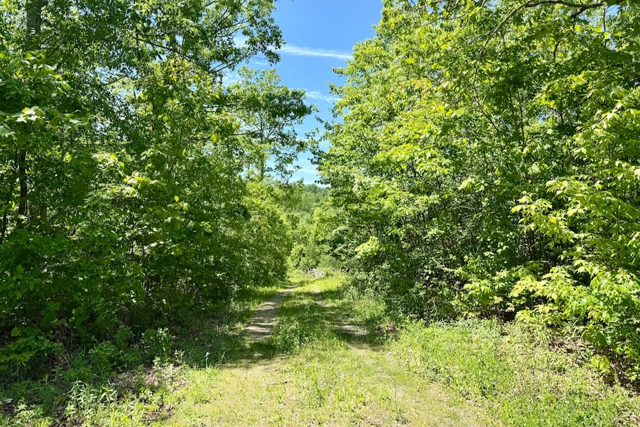 Swaller Hill Road Photo 11