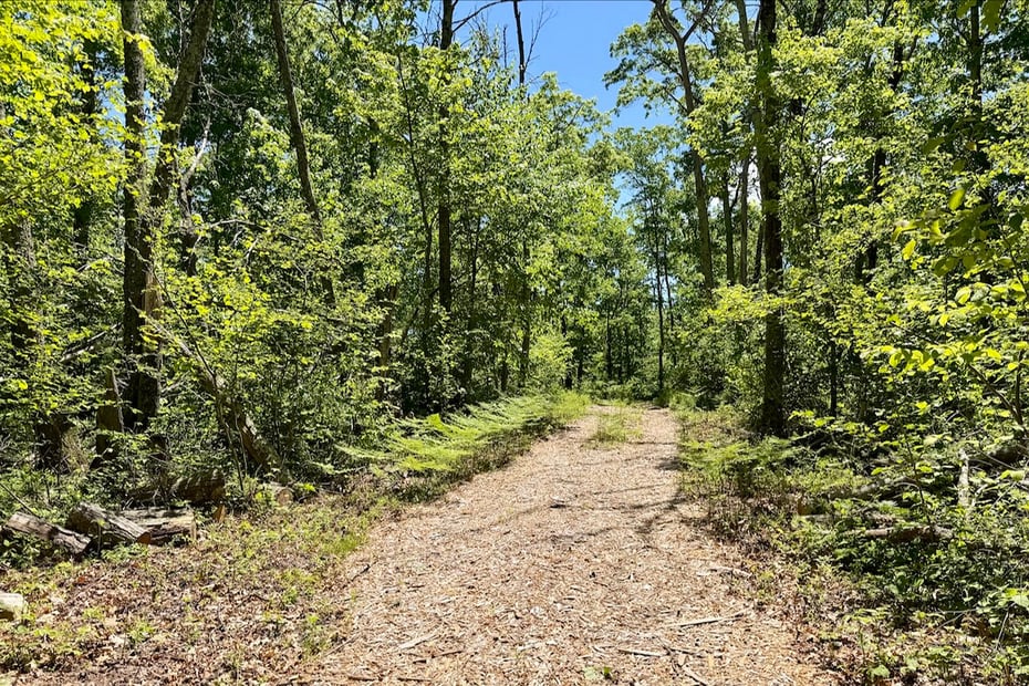 Swaller Hill Road Photo 8