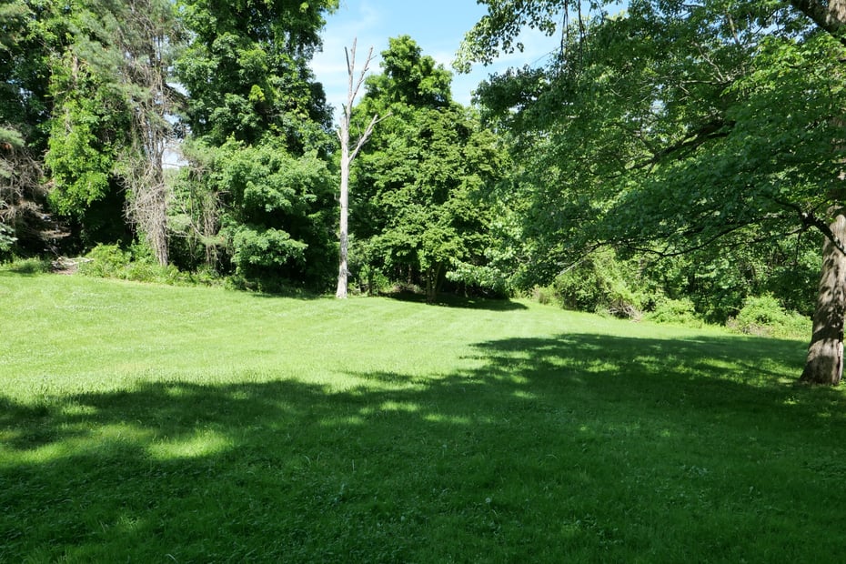 5 Maria Lane Photo 13