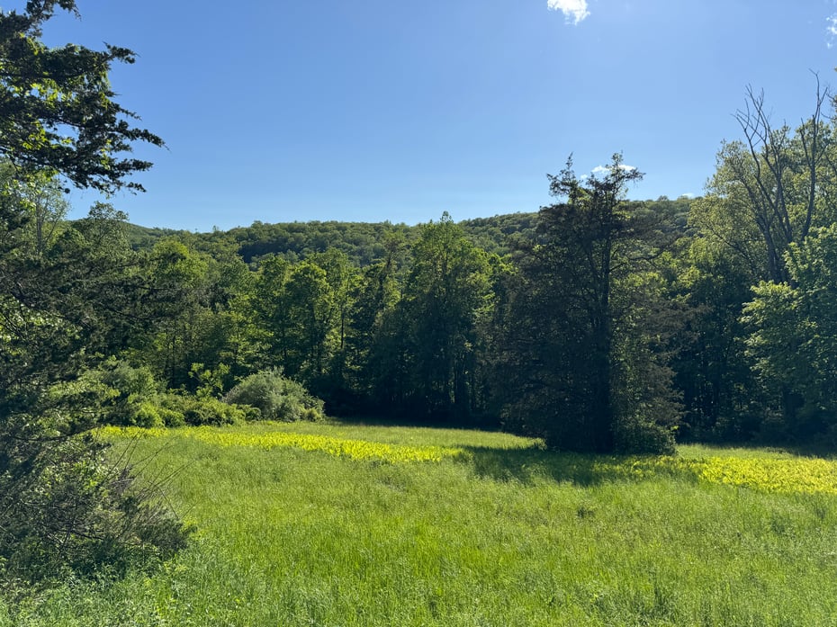 Rte 39 South, State Route Photo 1
