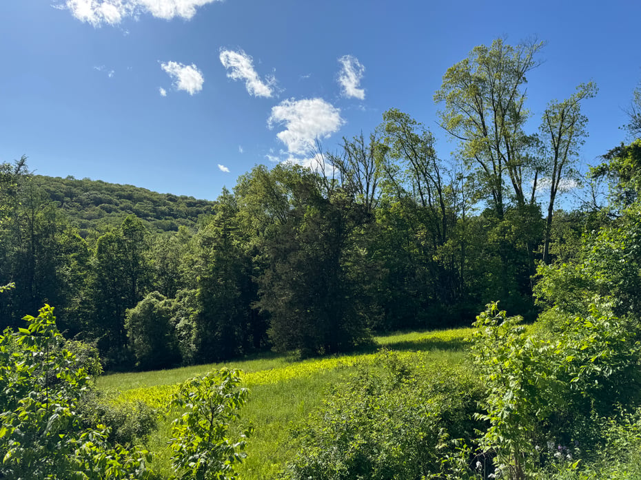 Rte 39 South, State Route Photo 3