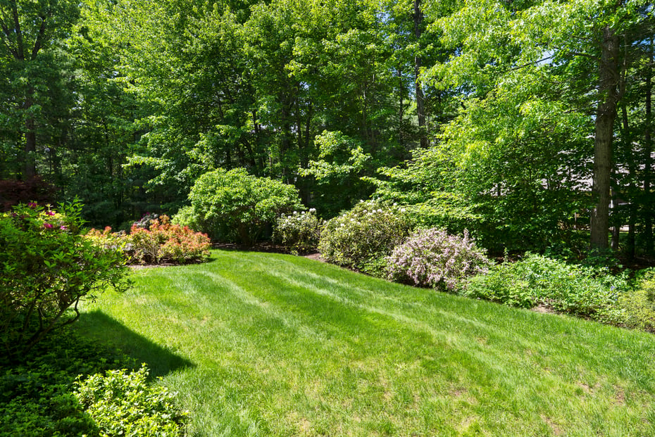 3 Norfolk Gardens Photo 3