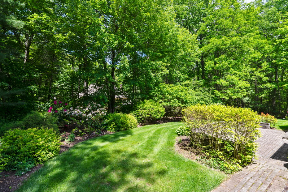 3 Norfolk Gardens Photo 8