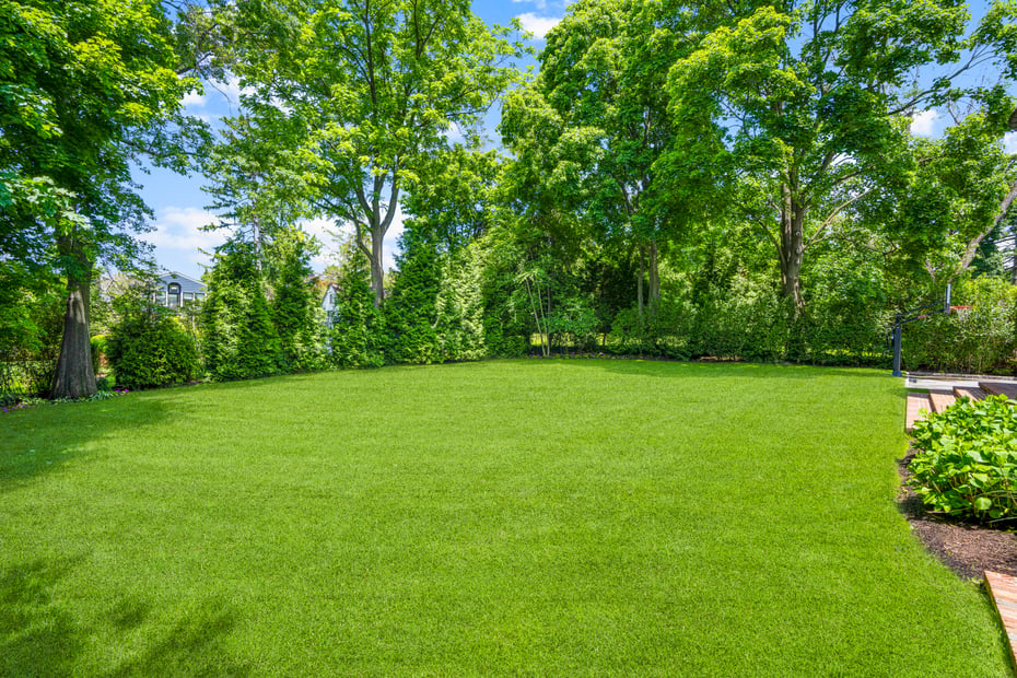 30 Elm Avenue Photo 46