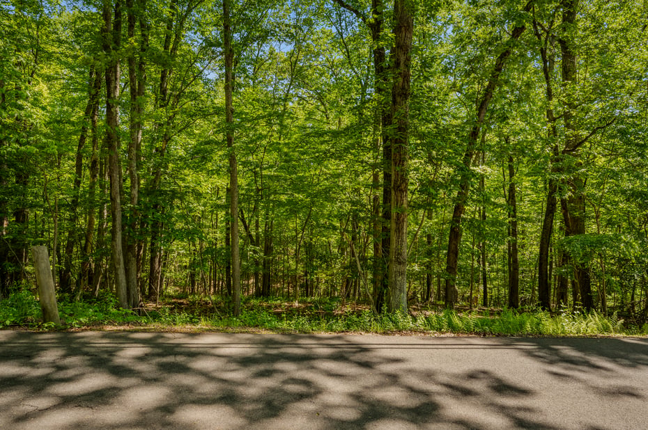 Lot10-b1 Foot Hills Road Photo 1