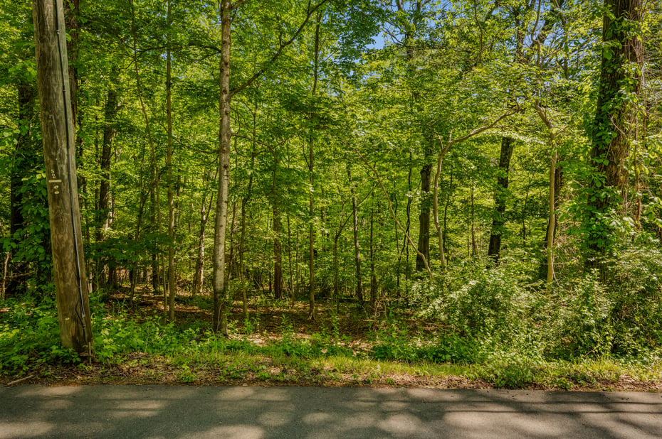 Lot10-b1 Foot Hills Road Photo 6