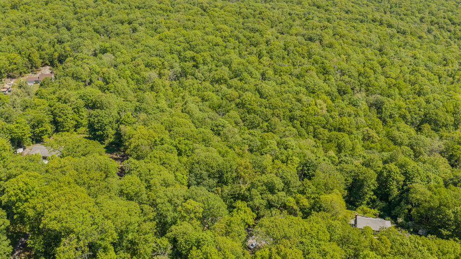 Lot10-b1 Foot Hills Road Photo 8