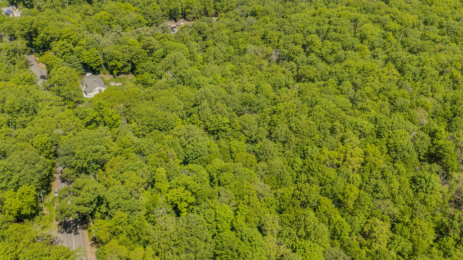 Lot10-b1 Foot Hills Road Photo 11