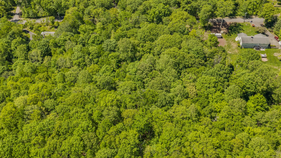 Lot10-b1 Foot Hills Road Photo 15