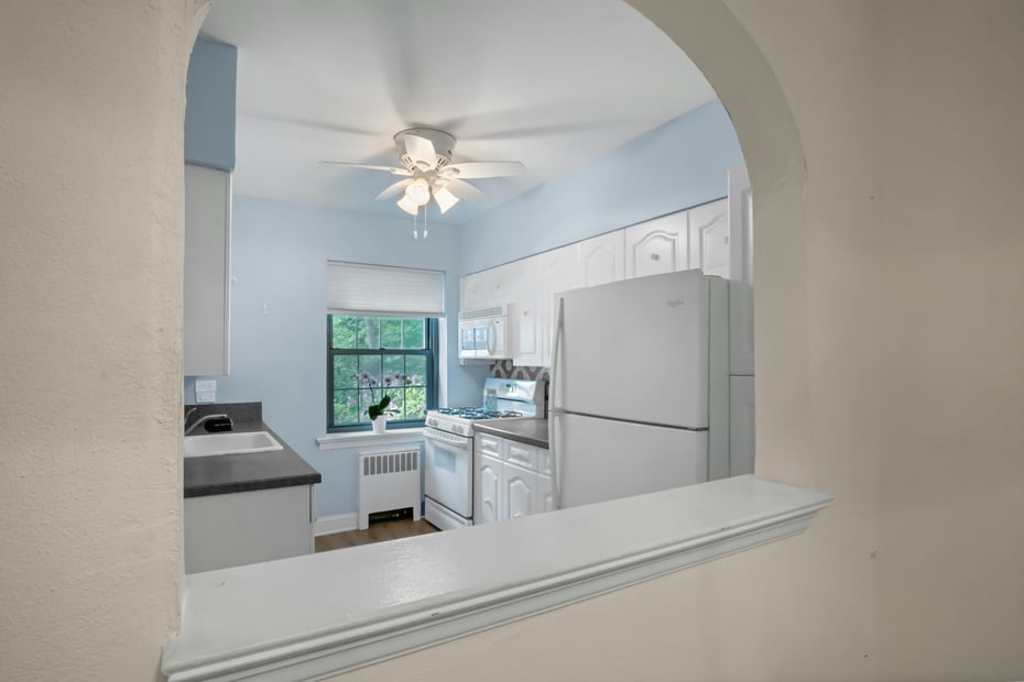 20 Alden Place  #1 Photo 4