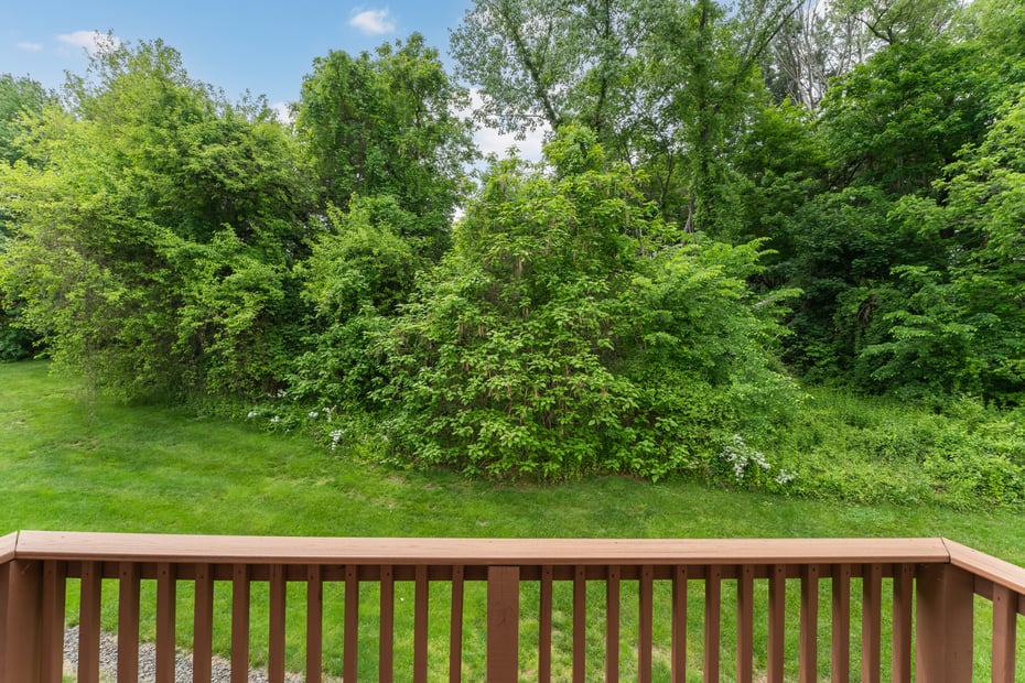 229 Branford Road  #225 Photo 8