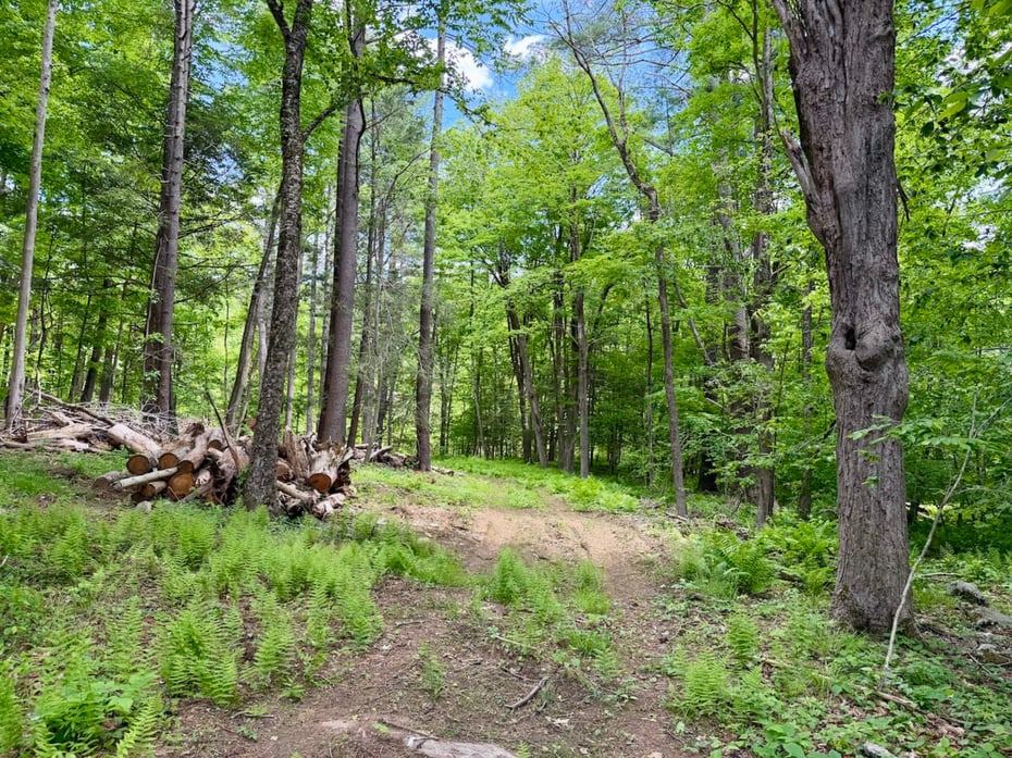 00 Great Hollow Road Photo 4