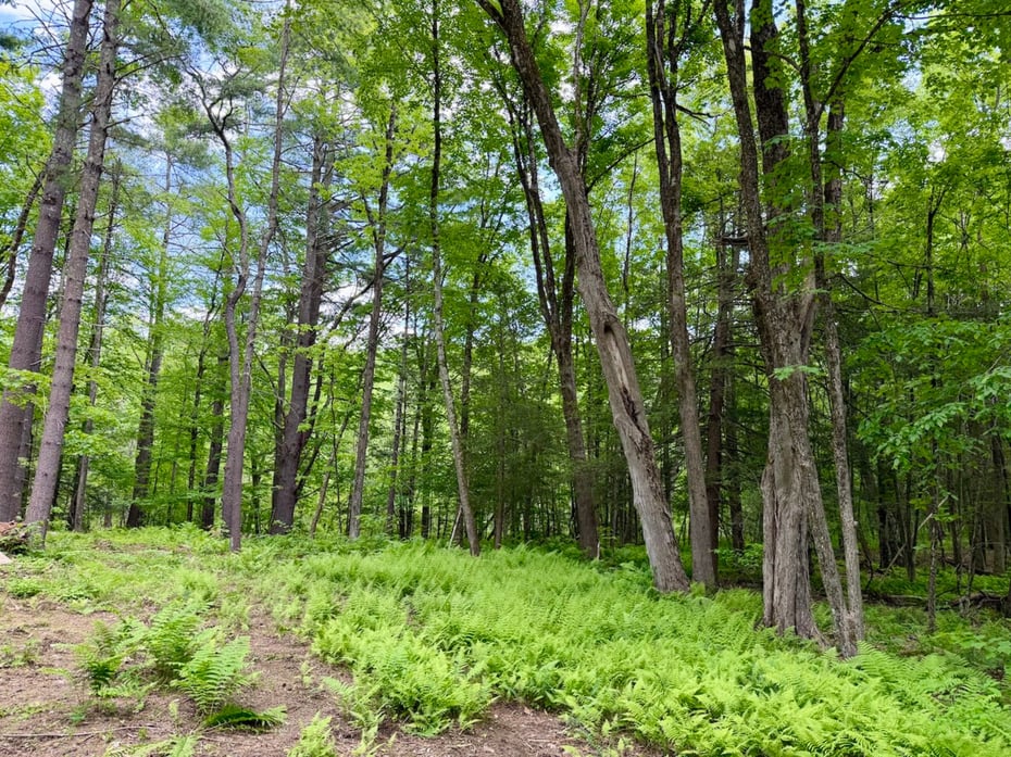 00 Great Hollow Road Photo 5