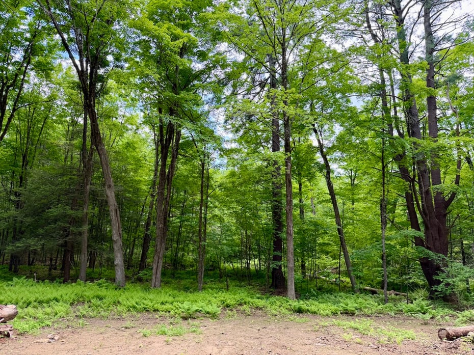 00 Great Hollow Road Photo 6