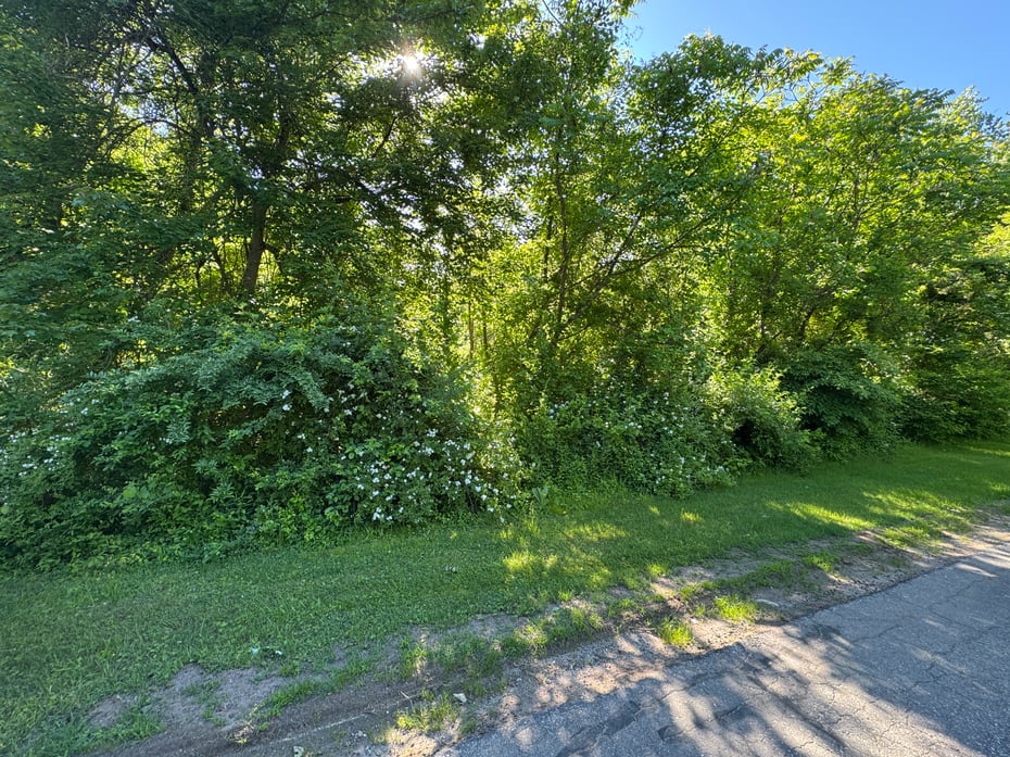 Goose Hill Road Photo 1