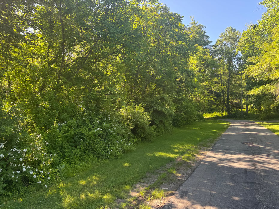 Goose Hill Road Photo 4