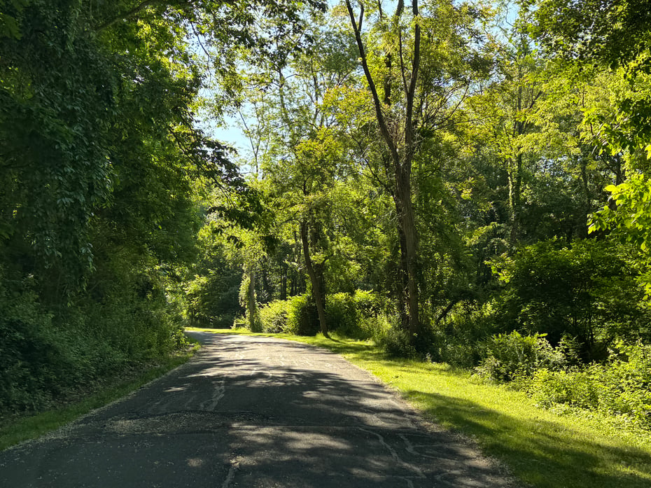 Goose Hill Road Photo 6
