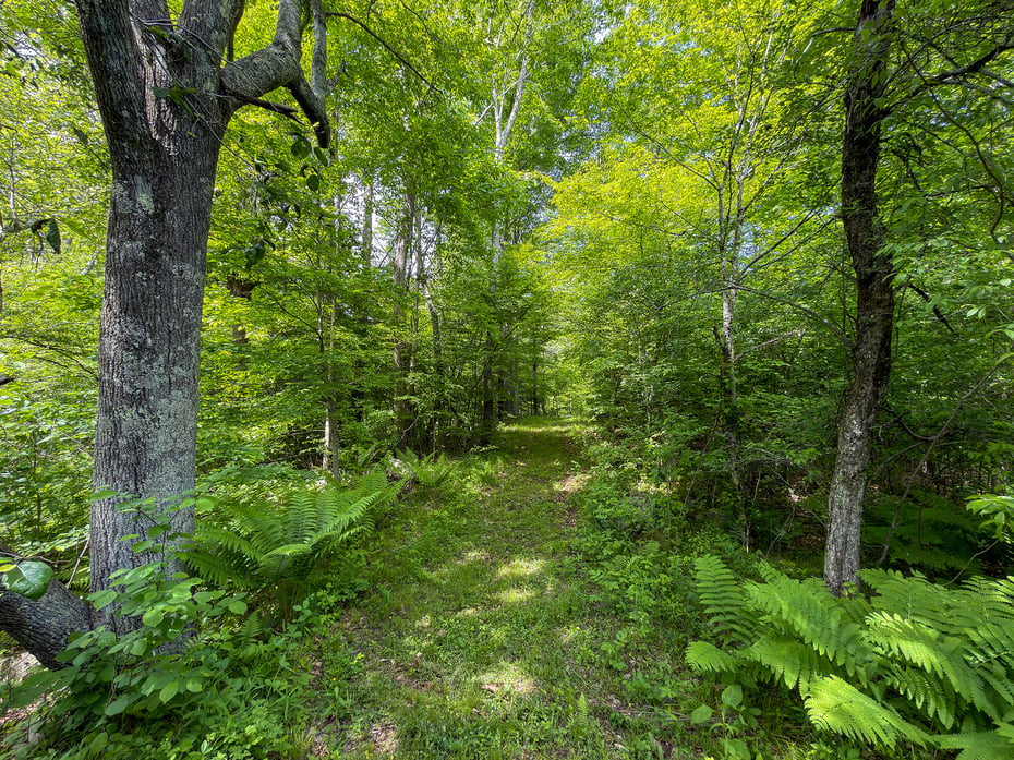 44 Keeler Road Photo 3