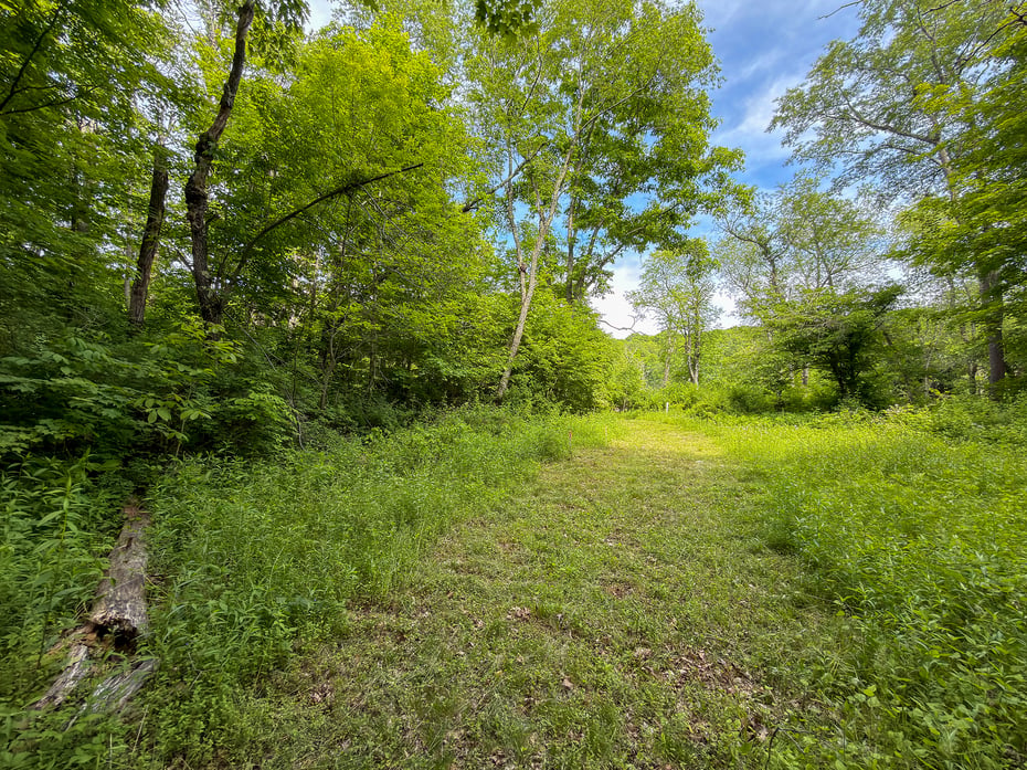 44 Keeler Road Photo 12