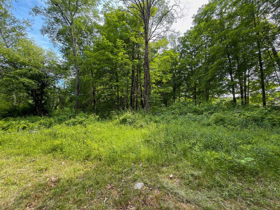 44 Keeler Road Photo 13