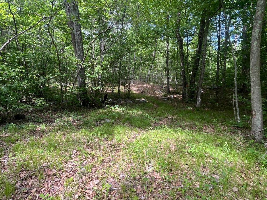 44 Keeler Road Photo 15