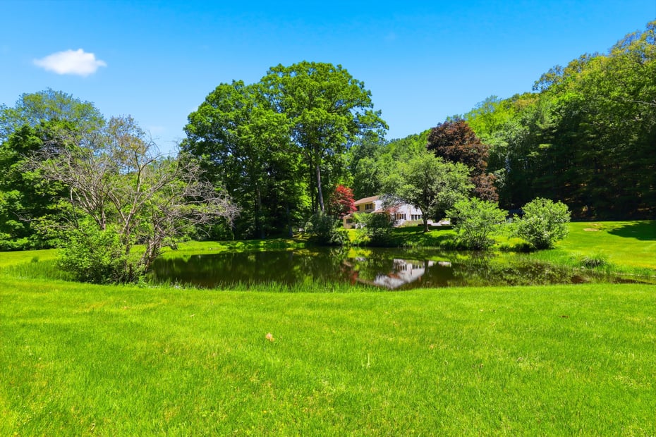 13 Schildbach Road Photo 39