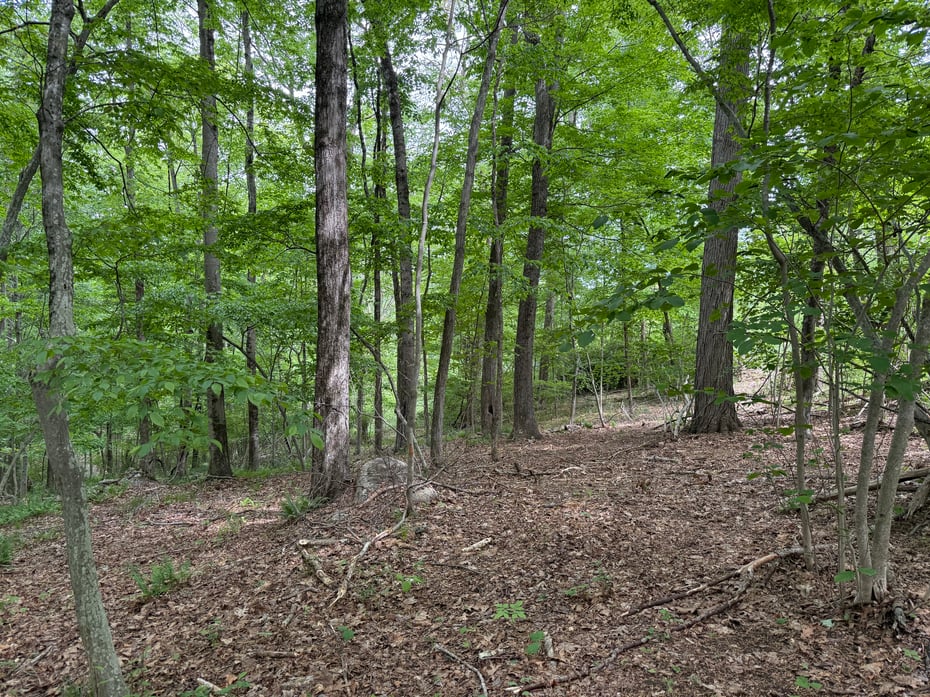 Lot10-b1 Foot Hills Road Photo 16