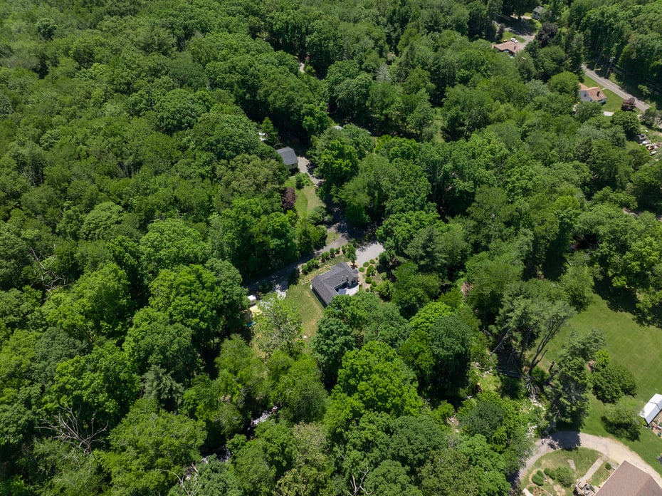 254 Park Road Photo 32