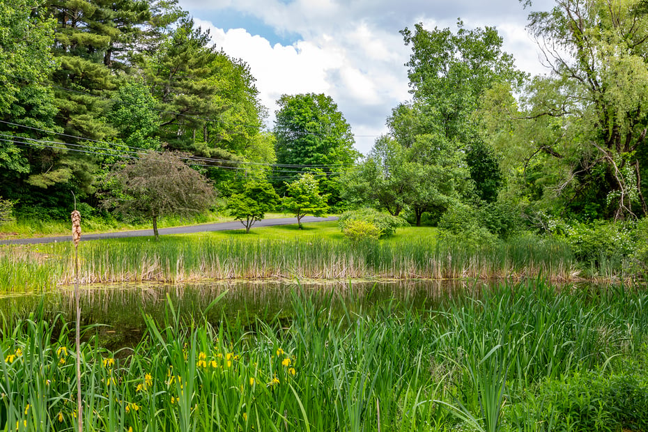 70 Reed Road Photo 23