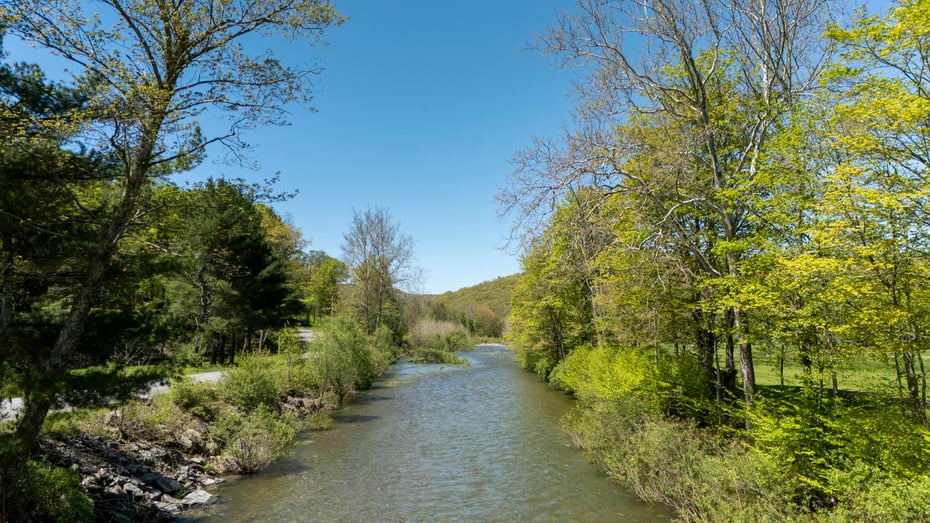 390 Erpf Road Photo 44