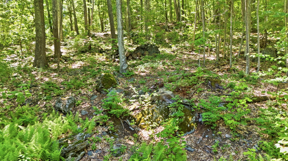 236 Hillsdale Rd Photo 34