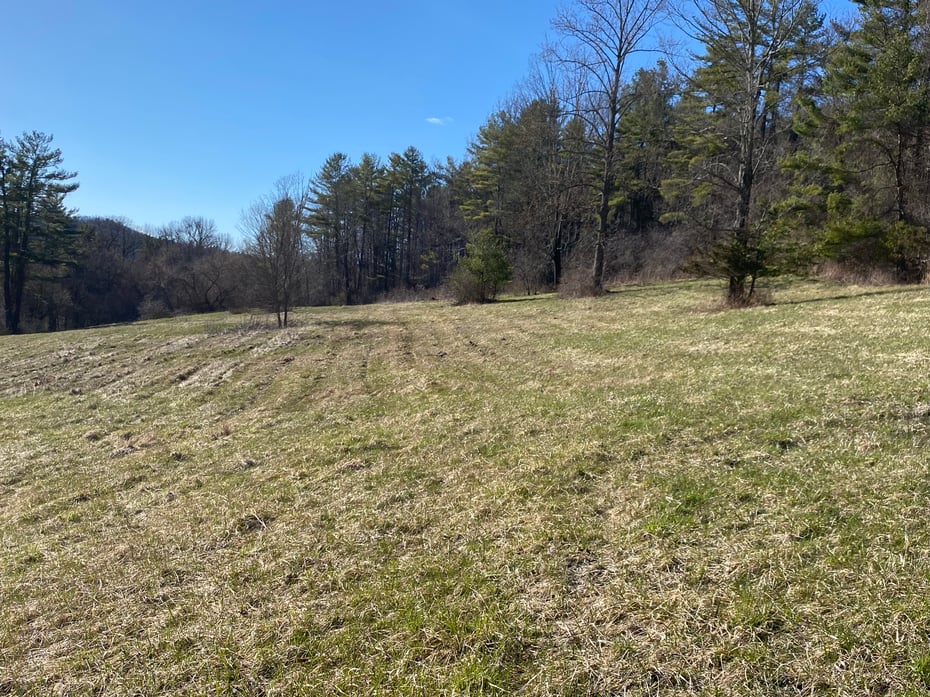 198-3 Beebe Hill Road Photo 3