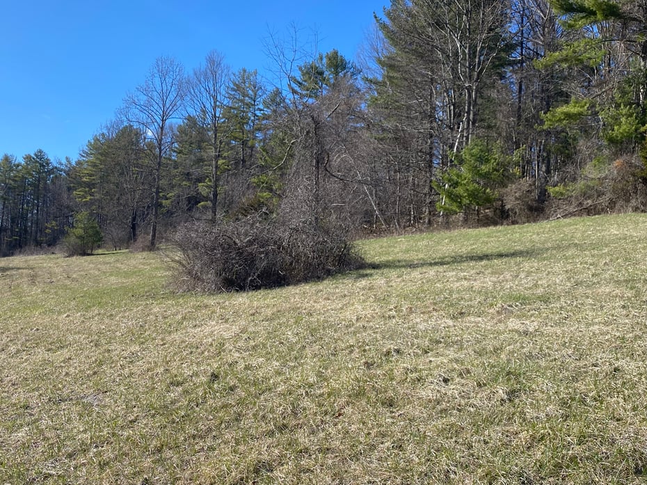 198-3 Beebe Hill Road Photo 4